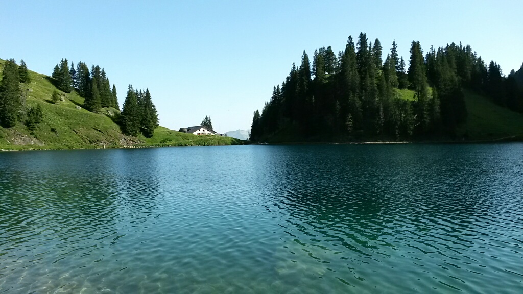 fly fishing, fishing, reel